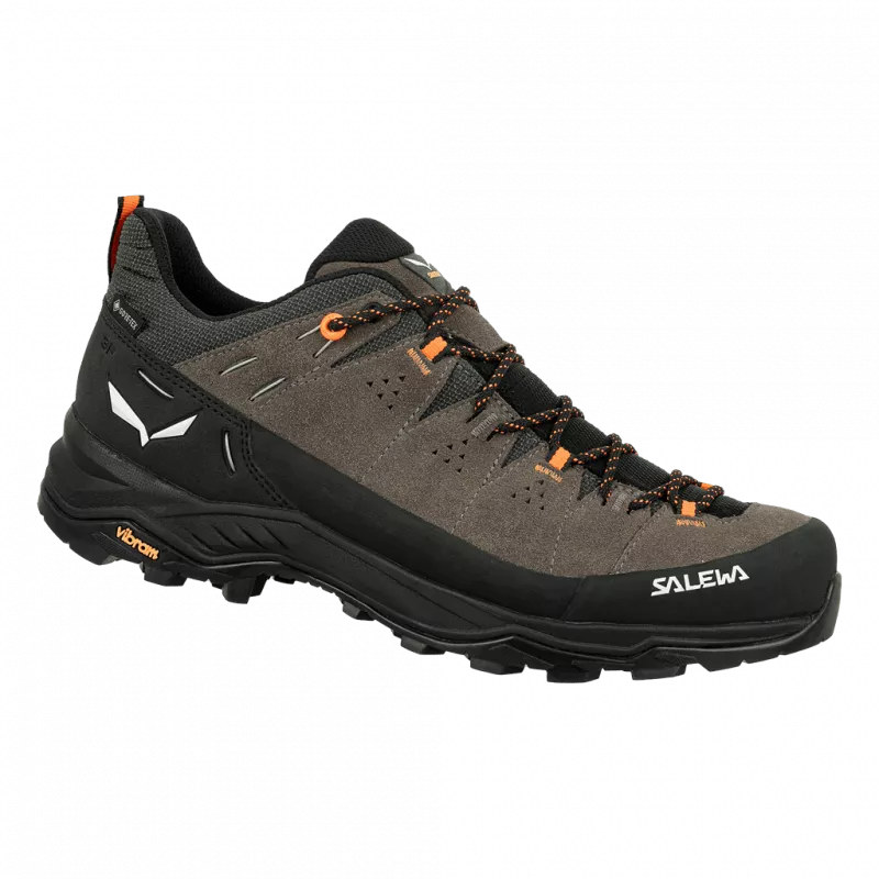 ALP TRAINER 2 GTX M